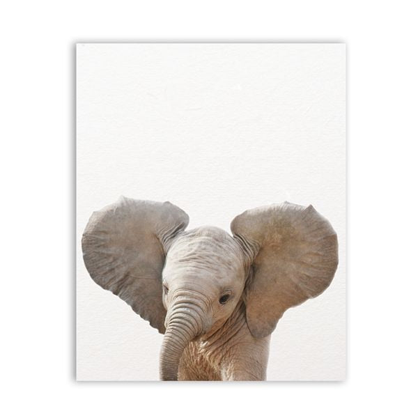 Lion Zebra Elephant Giraffe Baby Animals Art Print Poster
