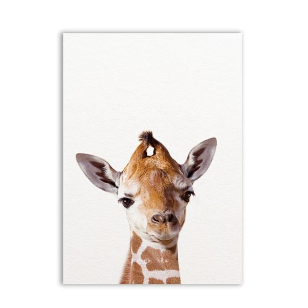Lion Zebra Elephant Giraffe Baby Animals Art Print Poster
