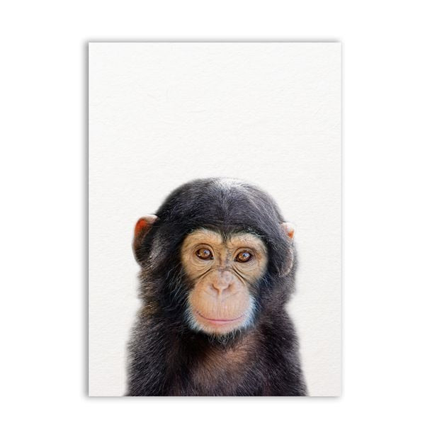 Lion Zebra Elephant Giraffe Baby Animals Art Print Poster