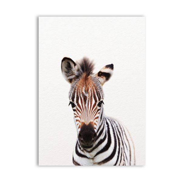 Lion Zebra Elephant Giraffe Baby Animals Art Print Poster