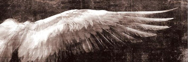 Angel Wings Vintage Black And White Wall Art Canvas