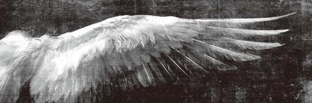 Angel Wings Vintage Black And White Wall Art Canvas
