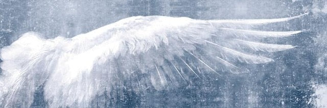 Angel Wings Vintage Black And White Wall Art Canvas