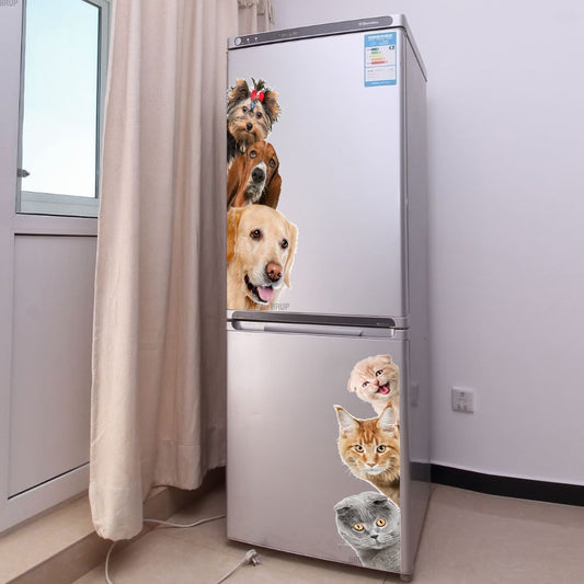Funny Dogs Cats 3D Wall Sticker