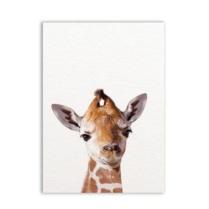 Lion Zebra Elephant Giraffe Baby Animals Art Print Poster