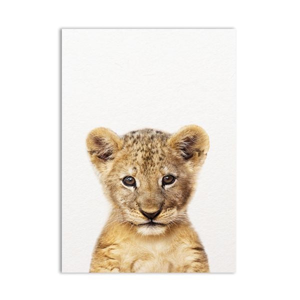 Lion Zebra Elephant Giraffe Baby Animals Art Print Poster